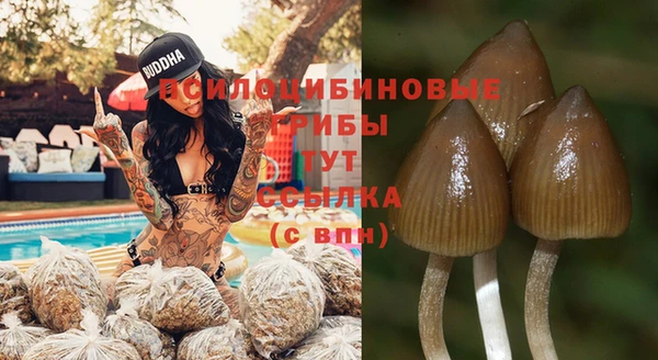spice Арсеньев