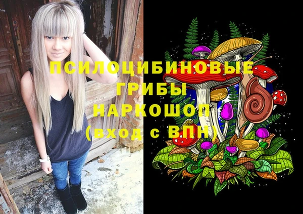 spice Арсеньев